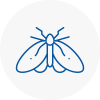 Moth Control Specialists In Thornley